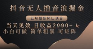 抖音无人撸音浪掘金，五月最新风口项目，当天见效，日收益多张，小白可做简单粗暴可矩阵【揭秘】-就爱副业网
