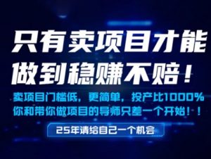 只有卖项目才能做到稳挣不赔，门槛低，更简单，你也可以年入百个W【揭秘】-就爱副业网