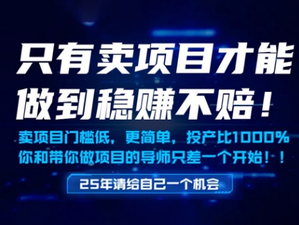 久爱副业网,网赚项目,网赚论坛博客网分享只有卖项目才能做到稳挣不赔，门槛低，更简单，你也可以年入百个W【揭秘】