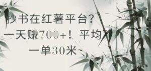 抄书在小红薯平台？平均一单30米，一天收益几张！-就爱副业网
