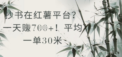 久爱副业网,网赚项目,网赚论坛博客网分享抄书在小红薯平台？平均一单30米，一天收益几张！