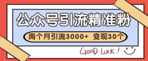 公众号精准粉引流玩法，2个月3000+精准粉，变现30个W【揭秘】-就爱副业网