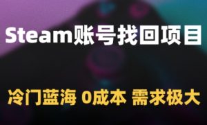 Steam账号找回项目，冷门蓝海，0成本，需求极大-就爱副业网