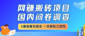 网创搬砖项目，国内问卷调查，小白轻松上手，一天三四张的也不难，干就完了【揭秘】-就爱副业网