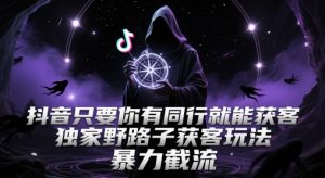 抖音只要你有同行就能获客，独家野路子获客玩法，暴力截流【揭秘】-就爱副业网