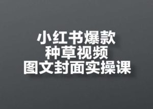小红书爆款种草视频图文封面实操课，​开店、选品、引流、变现全流程-就爱副业网
