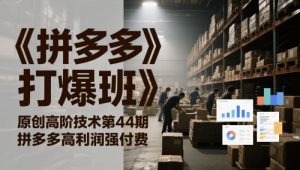 《拼多多打爆班》原创高阶技术第44期，拼多多高利润强付费-就爱副业网