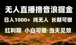 无人直播撸音浪掘金，日入1k+，纯无人红利期，小白可做，当天见效【揭秘】-就爱副业网