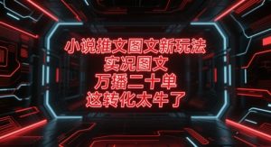 小说推文图文新玩法，实况图文，万播二十单，这转化太牛了！-就爱副业网