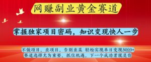 网创副业黄全赛道，掌握独家项目密码，知识变现快人一步，告别韭菜轻松实现单日变现1k+【揭秘】-就爱副业网