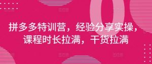 拼多多特训营，经验分享实操，课程时长拉满，干货拉满(更新25年4月)-就爱副业网