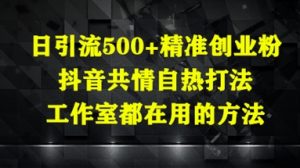 日引流500+精准创业粉，抖音共情自热打法，工作室都在用的方法-就爱副业网