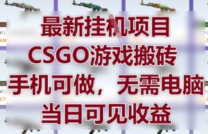 最新挂G项目，CSGO游戏搬砖，手机可做，无需电脑，当日见收益【揭秘】-就爱副业网