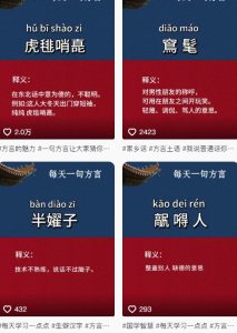 抖音最新涨粉玩法，图文方言暴力涨粉实操，126作品涨粉11W-就爱副业网
