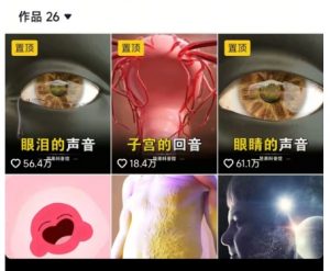 抖音坚果3D动画科普项目，撸视频号分成和抖音伙伴计划，适合零基础小白-就爱副业网
