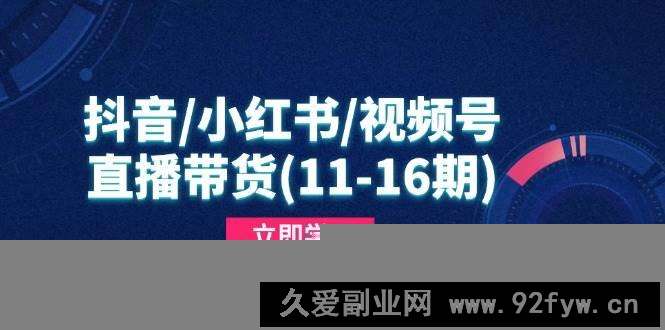 图片[1]-（14611期）抖音/小红书/视频号/直播带货(11-16期)，快速掌握平台规则，打造爆款内容-就爱副业网