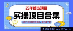 （14772期）2025年六大前沿项目实战指南：自动化挂机、智能直播与低投入创业模式解析-就爱副业网