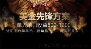 （14762期）零成本技能！细分市场！年度规划超三年拼搏，日均收益800+-就爱副业网