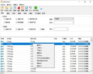 zRenamer(批量改名工具)v1.5 绿色版-就爱副业网