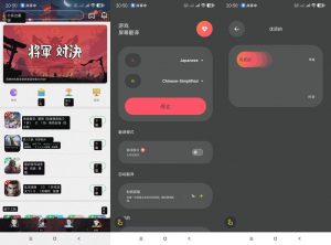 游戏屏幕实时翻译（可识别全球语言）-就爱副业网