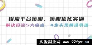 投放平台策略，策略优化实战，攻克投流 5 大难题，4 步达成精准引流-就爱副业网