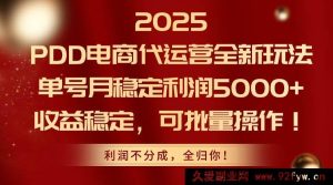 （14839 期）2025 电商代运营新玩法，单号月赚 5000+，收益稳可批量操作-就爱副业网