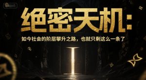 付费文章：绝密天机：如今社会的阶层攀升之路，也就只剩这么一条了-就爱副业网
