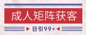 小红书某音橙人赛道引流获客，自热矩阵日引200+【揭秘】-就爱副业网