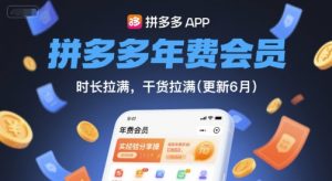 拼多多年费会员，实经验分享操，时长拉满，干货拉满(更新6月)-就爱副业网