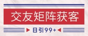 小红书某音交友赛道引流获客 自热矩阵日引200+【揭秘】-就爱副业网
