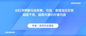 小红书男粉引流拆解，引流、变现当日见效超级干货，适用大部分行业引流-就爱副业网