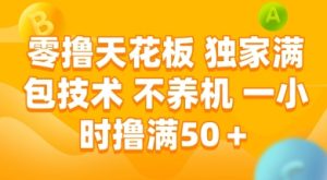 零撸天花板，独家满包技术 不养机 一小时撸满50+【揭秘】-就爱副业网