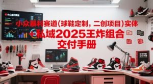 小众暴利赛道(球鞋定制，二创项目)实体+私域2025王炸组合  交付手册-就爱副业网