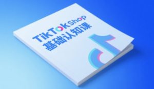 TikTok小店基础认知课，助力学员从 0 到 1 掌握 TikTok 电商运营全链路认知-就爱副业网