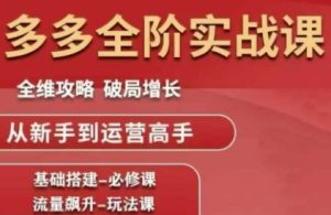 拼多多全阶实战课程，全维攻略，破局增长，从新手到运营高手-就爱副业网