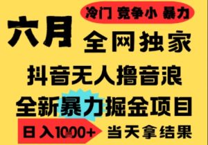 25年6月高爆抖音无人直播最新撸音浪掘金项目，小白可做，无脑日入1k+，门槛低可批量矩阵【揭秘】-就爱副业网