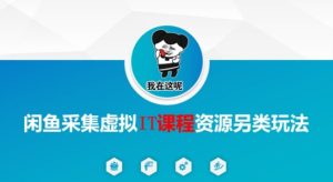 闲鱼采集虚拟IT课程资源另类玩法，干货满满-就爱副业网