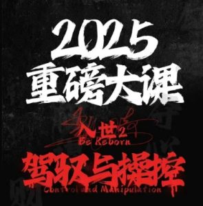 2025重磅大课，入世2，驾驭与控制-就爱副业网