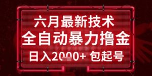 六月最新技术全自动暴力撸金，稳定日入2k+包起号，长期稳定【揭秘】-就爱副业网