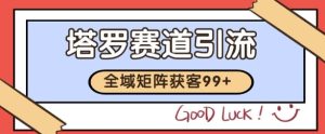 小红书某音塔罗赛道引流获客 自热矩阵日引200+【揭秘】-就爱副业网