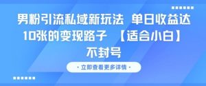 男粉引流私域新玩法，单日收益达10张的变现路子 【适合小白】不封号-就爱副业网