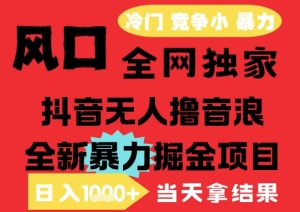 25年6月高爆抖音无人直播最新撸音浪掘金项目，解放双手小白可做，无脑日入1k+，门槛低【揭秘】-就爱副业网