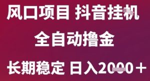 风口项目，六月最新玩法抖音无人挂G，全自动撸金，长期稳定 日入2k+【揭秘】-就爱副业网