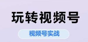 玩转视频号，视频号实战系列课-就爱副业网