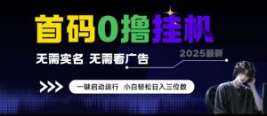 首码0撸挂G项目，无需实名无需看广告 一键启动运行，小白轻松日入三位数【揭秘】-就爱副业网