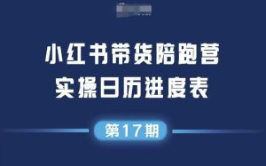 小红书第17期带货陪跑营，不囤货，无不直播，无不投流，通过选品+笔记内容+测品+笔记铺量+矩阵运营打爆款-就爱副业网