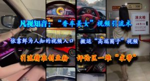 凡视知音：“香车美女”视频引流术，依靠鲜为人知的视频入口，搬运“高端圈子”视频，引流精准创业粉，评论区一堆“求带”-就爱副业网