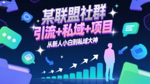 某联盟社群，引流+私域+项目，从新人小白到私域大神-就爱副业网