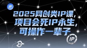 2025网创类IP课，项目会死IP永生，可操作一辈子-就爱副业网