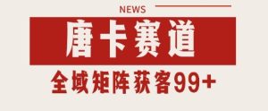 唐卡赛道私域引流获客 自热矩阵SOP日引流99+精准客资【揭秘】-就爱副业网